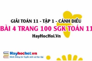 Giải bài 4 trang 100 Toán 11 tập 1 SGK Cánh Diều